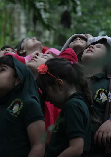 children enjoying the forest photo